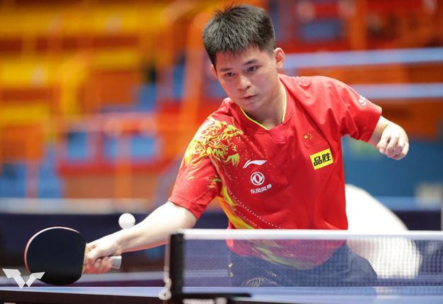 因此决定 因此决定